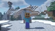 Steve wearing a carved pumpkin (Image via Minecraft)